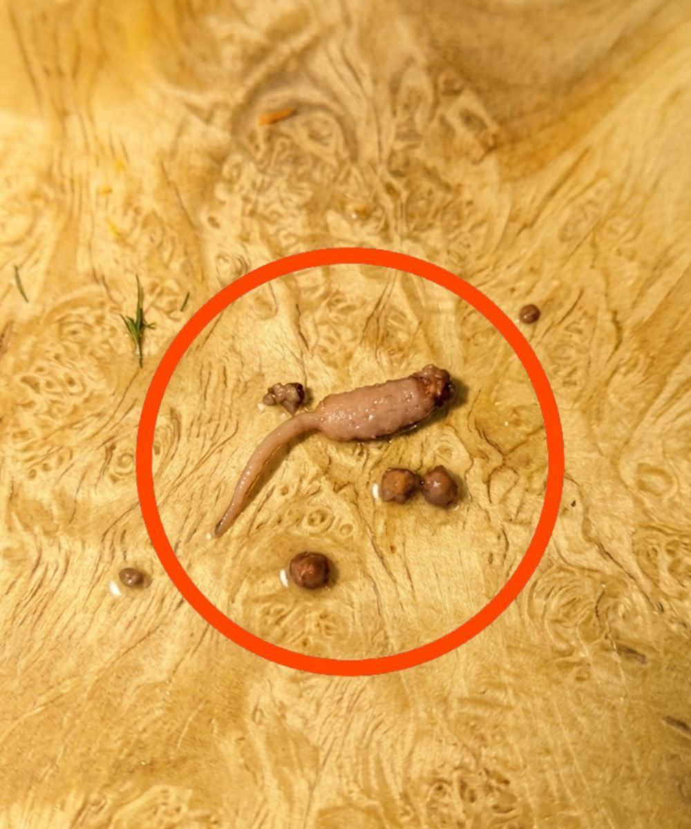 Stavo cucinando della carne macinata e quando l'ho tolta dalla padella, ho notato uno strano oggetto che non sembrava carne. Qualcuno sa cos'è? Controlla il primo commento per la risposta 👇