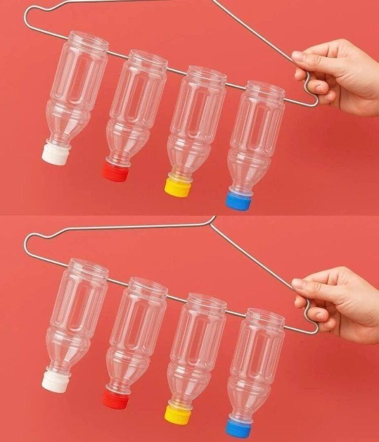 AVVISO Grazie a questa ingegnosa idea, gettare via le bottiglie di plastica è ormai un ricordo del passato... Mostra altro