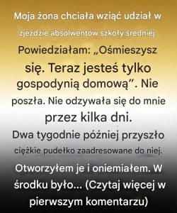 Przez 10 lat nazywałem moją żonę „tylko gospodynią domową”. Aż nagle pod nasze drzwi dotarło tajemnicze pudełko, ujawniające sekret wart 500 000 dolarów, który przede mną ukrywała.