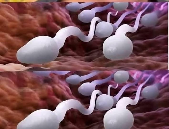 Lekarze ujawniają, że połykanie prowadzi do… Zobacz więcej