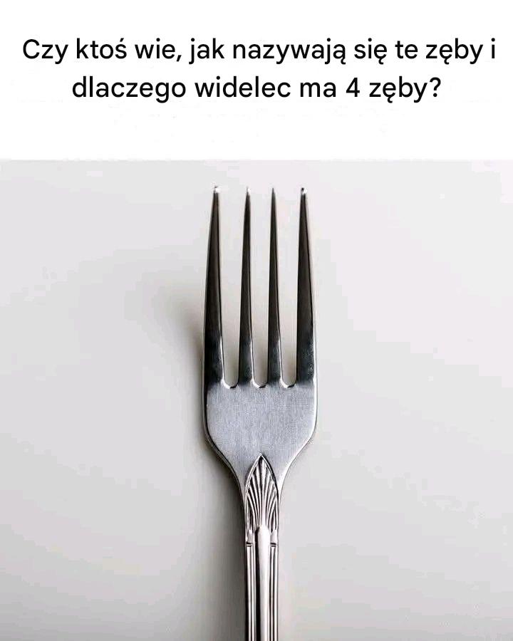 Why Do Forks Have Four Prongs