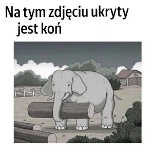 Czy znajdziesz ukrytego konia? Podejmij to ekstremalne wyzwanie w 7 sekund.