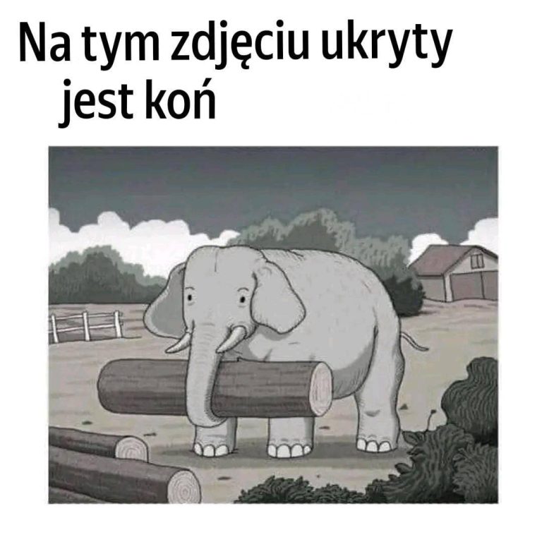 Czy znajdziesz ukrytego konia? Podejmij to ekstremalne wyzwanie w 7 sekund.