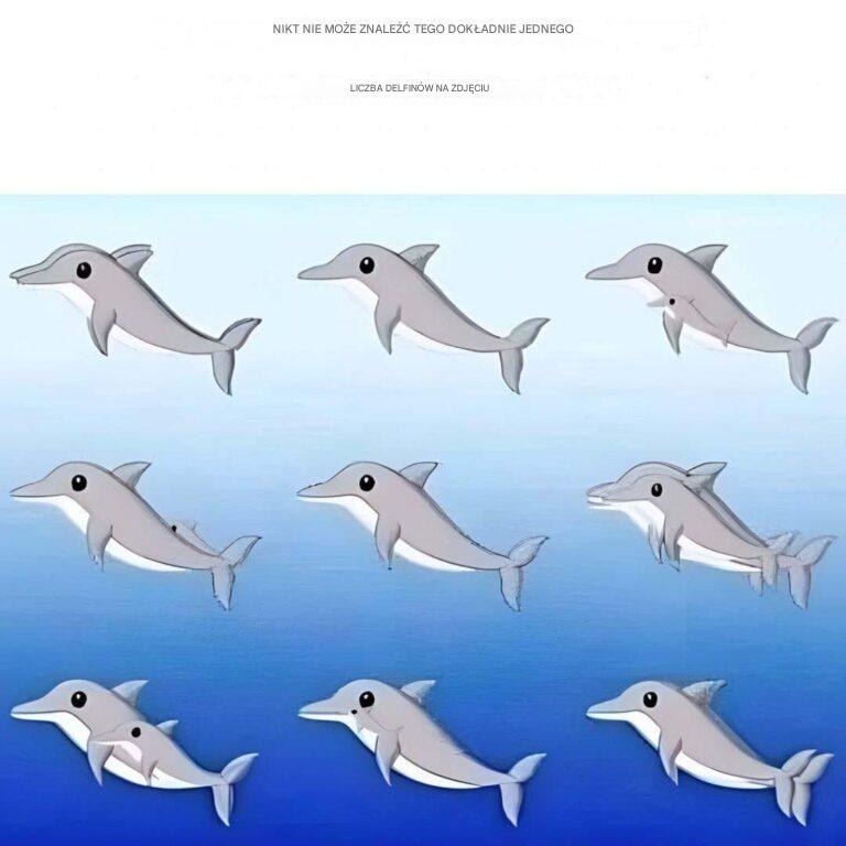 Ile delfinów widzisz na zdjęciu?