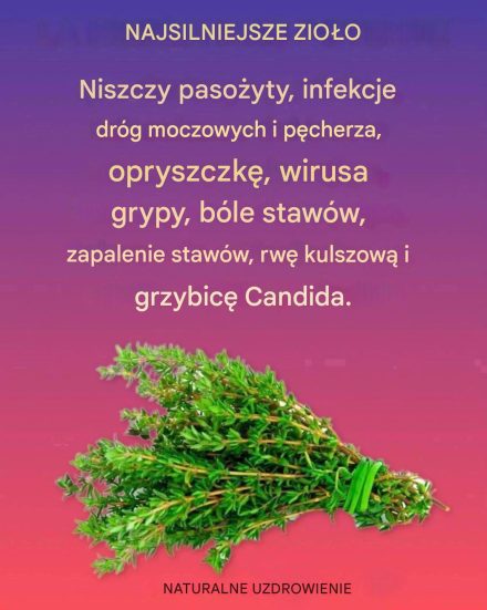 "NATURALNY ŚRODEK ZWALCZAJĄCY PASOŻYTY I INFEKCJE UKŁADU MOCZOWEGO"