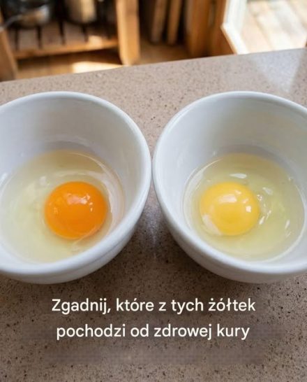 Zgadnij, które z tych żółtek pochodzi od zdrowej kury