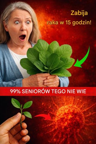 Lekarze nie powiedzą ci o tym liściu, który NISZCZY RAKA (nie przegap) – Liście gravioli