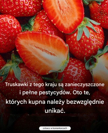 Truskawek z tego kraju należy bezwzględnie...Zobacz więcej