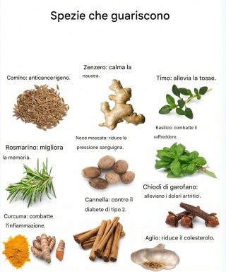 Il potere delle spezie e delle erbe aromatiche. Articolo completo nel primo commento 👇👇👇 💬