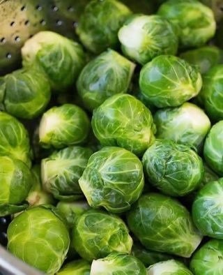 9 koo 9 minw be sɔrɔ Birikisɛli yiriden kanubagaw dɔrɔn lo bena u faamu .