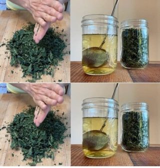 Il potere delle foglie di fico: diversi benefici nascosti in queste foglieV