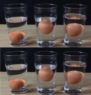 Compro spesso uova fresche direttamente dalla fattoria, ma voglio sempre controllare se sono fresche o meno. Ho provato diversi metodi e finalmente ho trovato dei trucchi semplici per capire se un uovo è fresco o marcio. Voglio condividere questa informazione con voi, quindi ho scritto un articolo nel primo commento. Mi ringrazierete più tardi. Maggiori dettagli qui 👇 👇