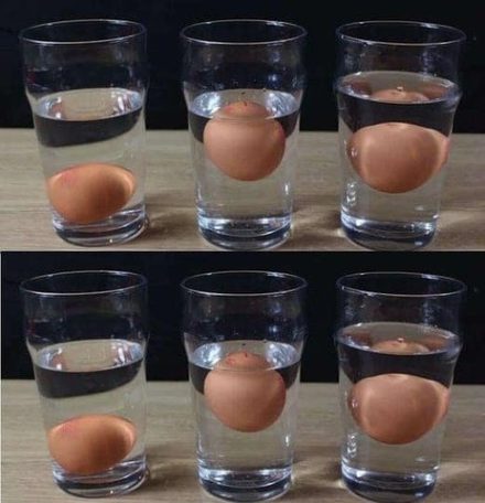 Compro spesso uova fresche direttamente dalla fattoria, ma voglio sempre controllare se sono fresche o meno. Ho provato diversi metodi e finalmente ho trovato dei trucchi semplici per capire se un uovo è fresco o marcio. Voglio condividere questa informazione con voi, quindi ho scritto un articolo nel primo commento. Mi ringrazierete più tardi. Maggiori dettagli qui 👇 👇