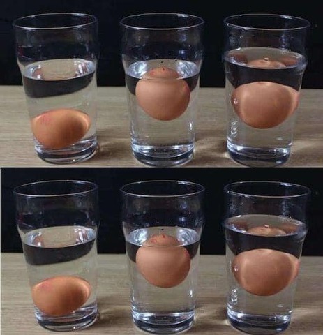 Compro spesso uova fresche direttamente dalla fattoria, ma voglio sempre controllare se sono fresche o meno. Ho provato diversi metodi e finalmente ho trovato dei trucchi semplici per capire se un uovo è fresco o marcio. Voglio condividere questa informazione con voi, quindi ho scritto un articolo nel primo commento. Mi ringrazierete più tardi. Maggiori dettagli qui 👇 👇