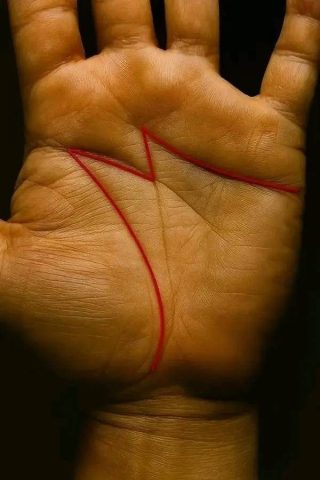 Lo sapevi che avere la lettera M sul palmo della mano significa che... Vedi altro