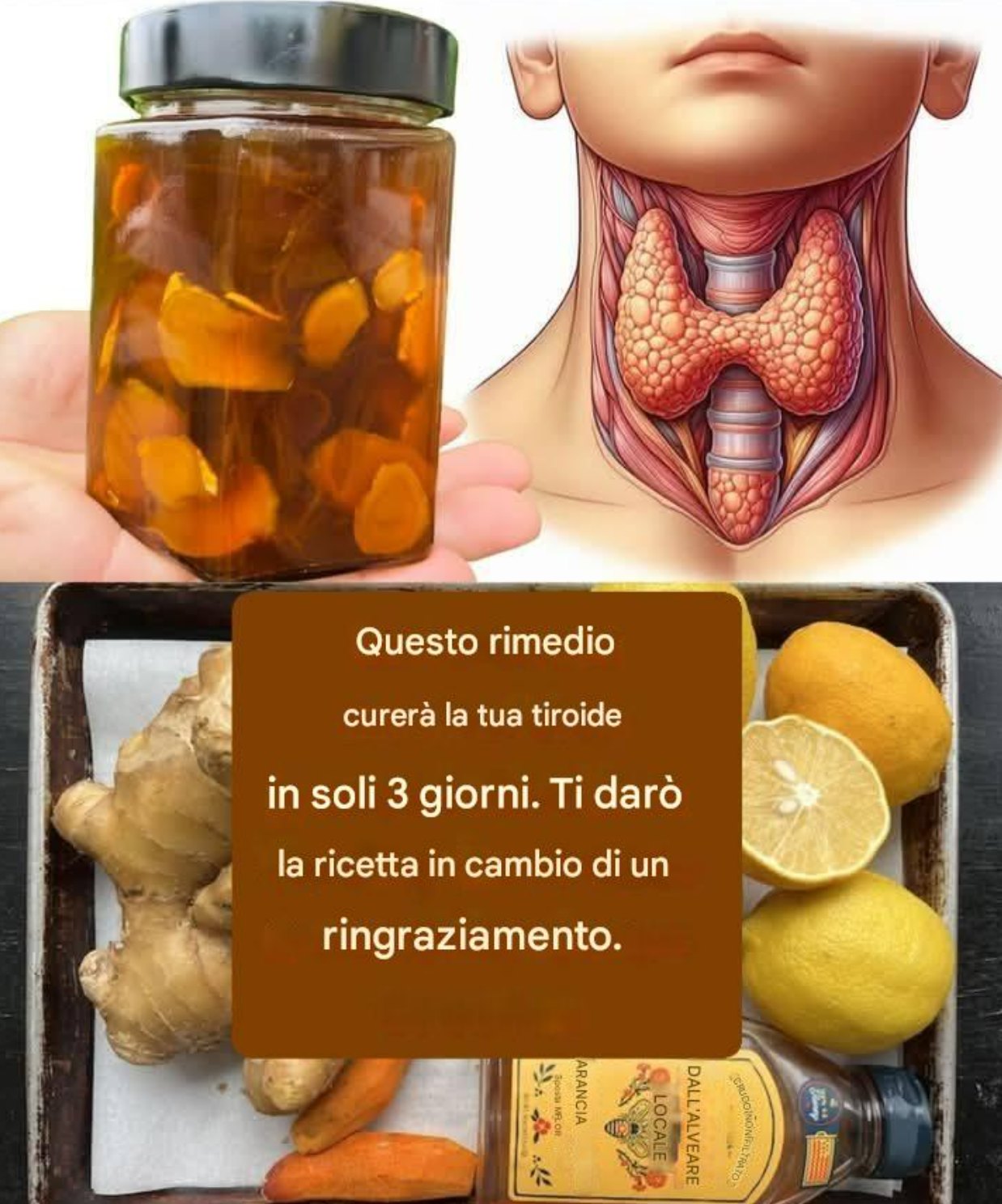 Questo rimedio curerà la tua tiroide in soli 3 giorni! Ti darò la ricetta in cambio di un ringraziamento.