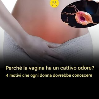 Perché la vagina ha un cattivo odore? 4 motivi che ogni donna dovrebbe conoscere Leggi il primo commento