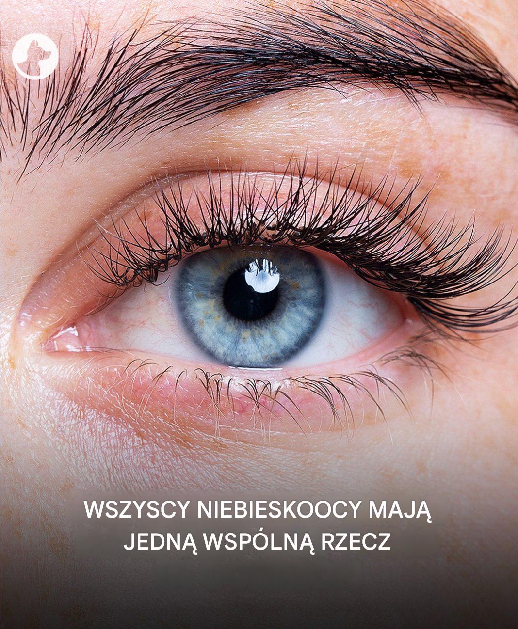 Zaskakująca cecha wspólna wszystkich osób o niebieskich oczach