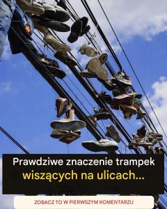 Co tak naprawdę oznacza widok butów wiszących na liniach energetycznych?