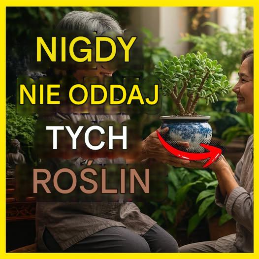 Nigdy nie dawaj tych 7 roślin w prezencie, bo stracisz szczęście i energię na zawsze!