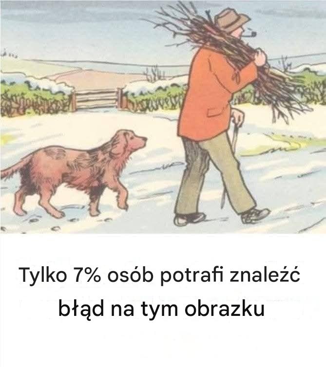 Czy potrafisz dostrzec błąd w tej śnieżnej scenie?