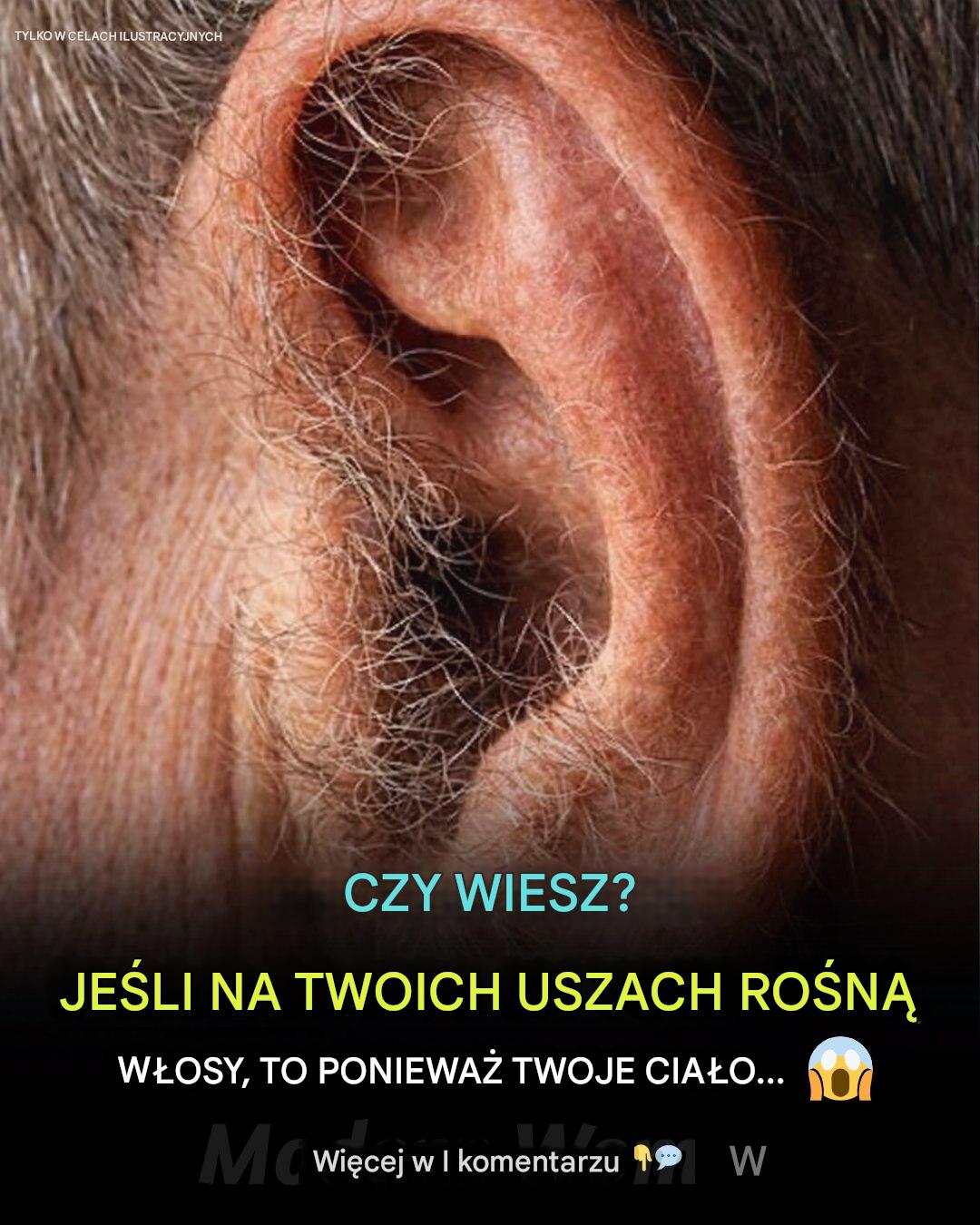 Dlaczego włosy w uszach pojawiają się wraz z wiekiem