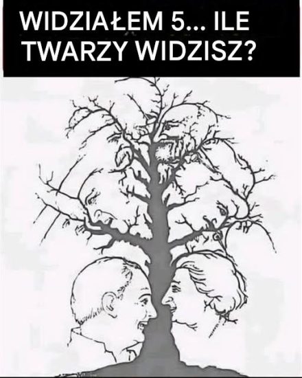 Tylko nieliczni mogą znaleźć wszystkie twarze ukryte w tym drzewie – czy ty jesteś jedną z nich?