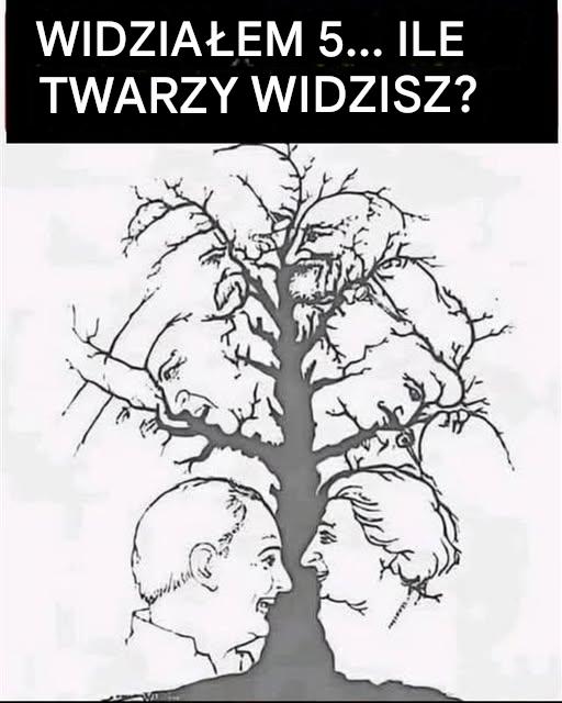 Tylko nieliczni mogą znaleźć wszystkie twarze ukryte w tym drzewie – czy ty jesteś jedną z nich?