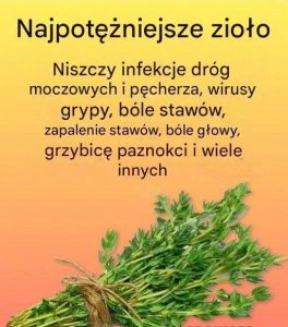 Naturalny środek na pasożyty i drogi moczowe