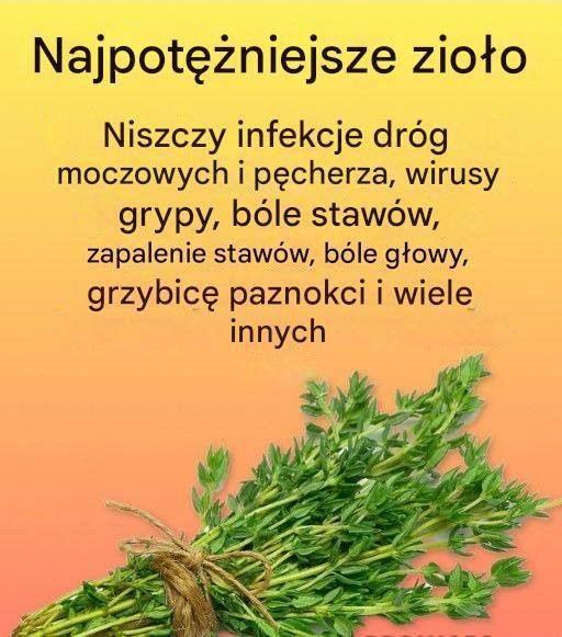 Naturalny środek na pasożyty i drogi moczowe