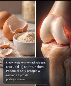 Kiedy w kolanie zabraknie kolagenu, skorupki jajek okazują się wybawieniem.
