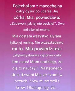 Ukryte pod jadeitową rośliną — historia łagodnej miłości, błędnych założeń i nieprzewidzianego dziedzictwa.