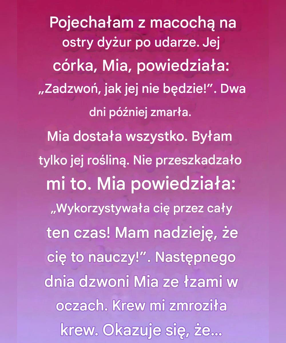 Ukryte pod jadeitową rośliną — historia łagodnej miłości, błędnych założeń i nieprzewidzianego dziedzictwa.
