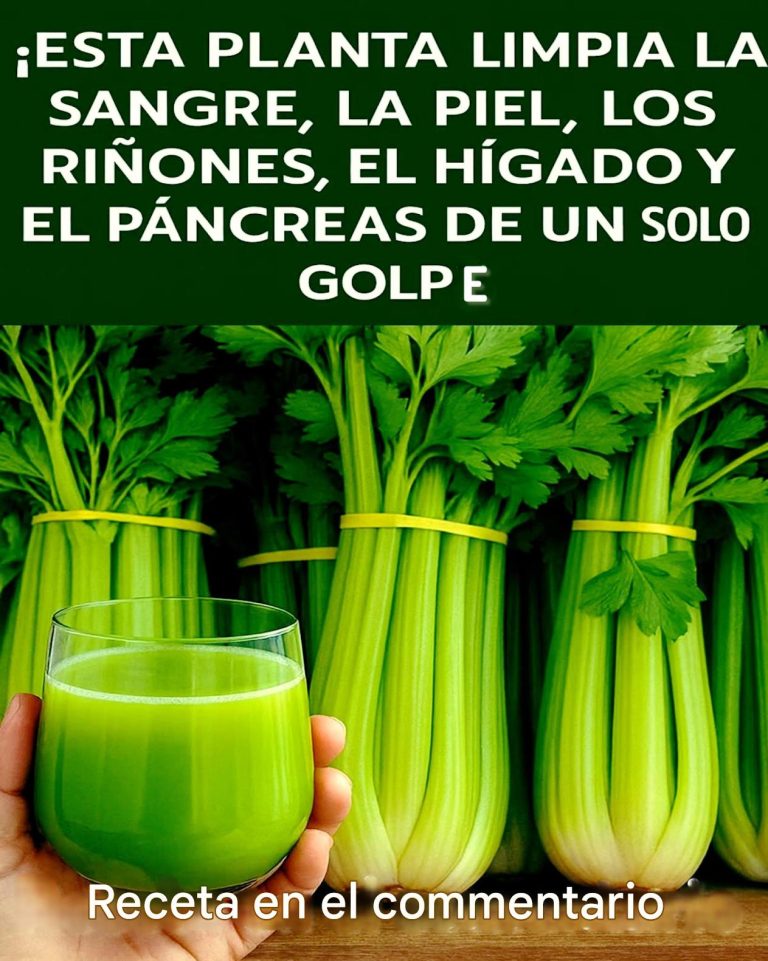 Sok z selera na pusty żołądek: naturalne oczyszczenie krwi, nerek i wątroby