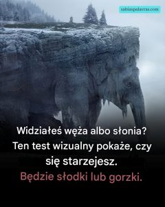 Co zobaczyłeś na pierwszy rzut oka? 97% ludzi widziało węża! Przekonaj się, czy Twoja starość będzie słodka, czy gorzka!