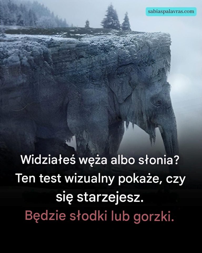 Co zobaczyłeś na pierwszy rzut oka? 97% ludzi widziało węża! Przekonaj się, czy Twoja starość będzie słodka, czy gorzka!