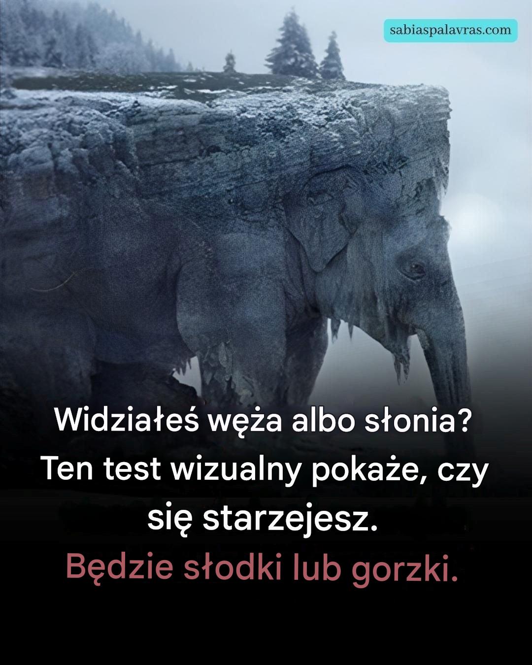 Co zobaczyłeś na pierwszy rzut oka? 97% ludzi widziało węża! Przekonaj się, czy Twoja starość będzie słodka, czy gorzka!
