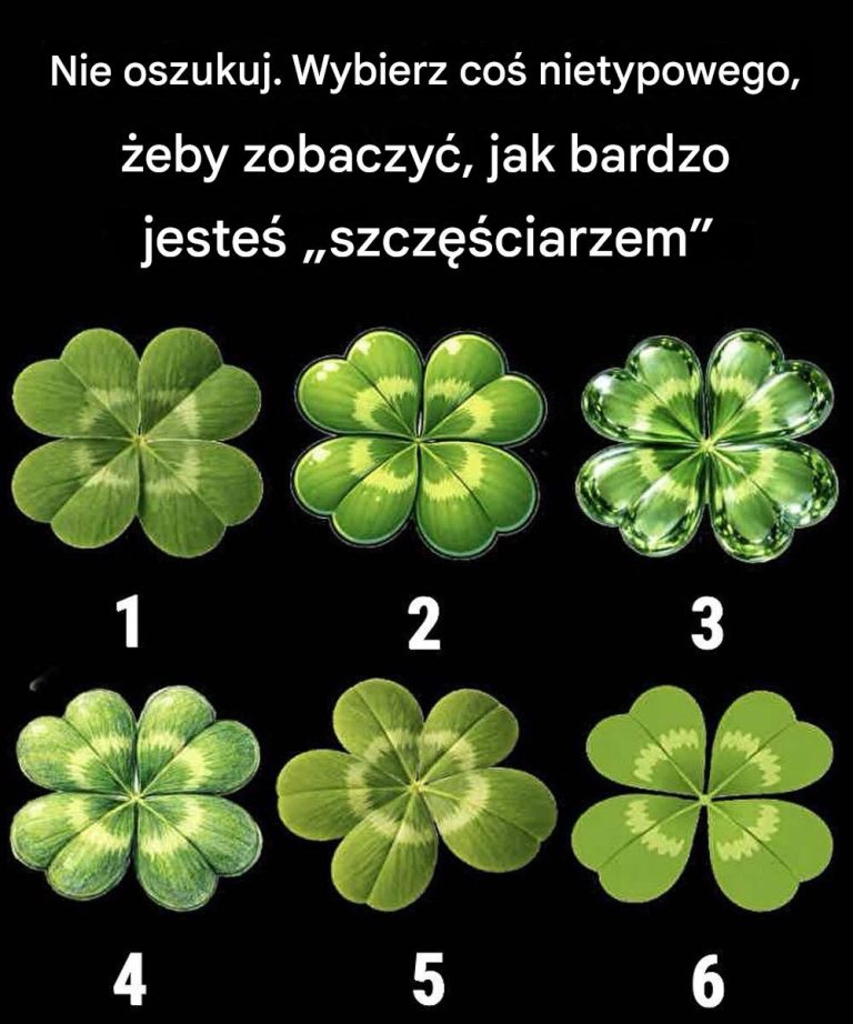 Prosta układanka koniczyna