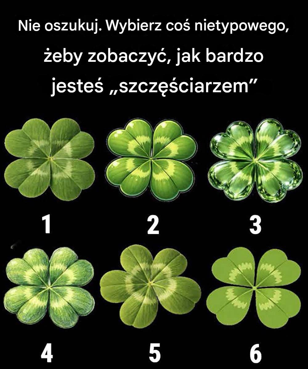 Prosta układanka koniczyna