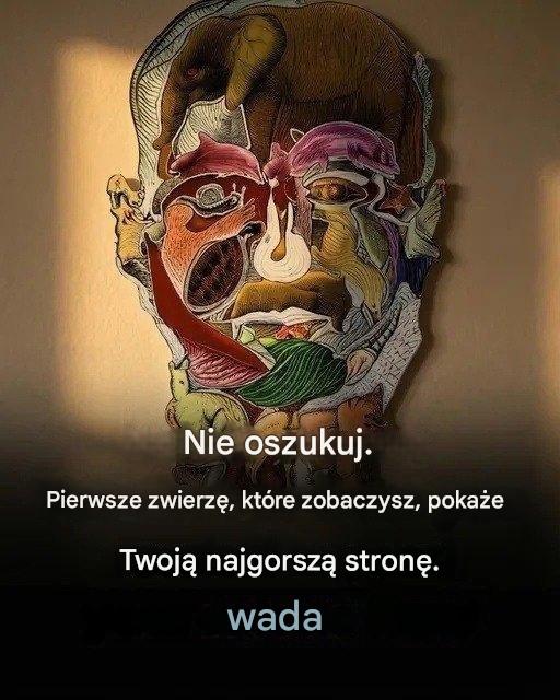 Odkryj pozytywne spojrzenie na siebie poprzez pierwsze zwierzę, które zobaczysz.V
